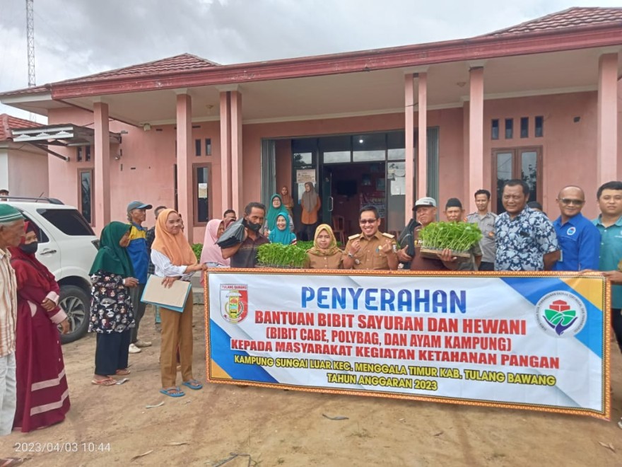 PEMBAGIAN BIBIT CABAI DAN SEPASANG AYAM KAMPUNG DI KAMPUNG SUNGAI LUAR